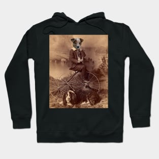 Tricycle Pup Hoodie